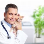 PLANOS DE SAÚDE PARA VETERINÁRIOS